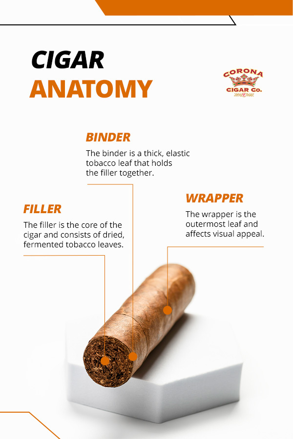 02-cigar-anatomy-pinterest.jpg